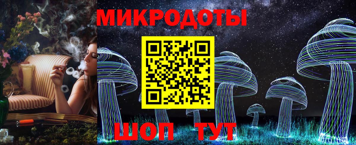Кинель  Галлюциногенные грибы Psilocybine cubensis  Вход с VPN 
